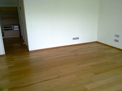 8 Nassim Hill (D10), Apartment #543523431